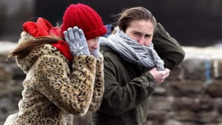 1000x566-8-1-768x435