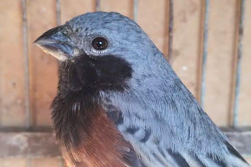 WhatsApp-Image-2024-05-30-at-10.49.03