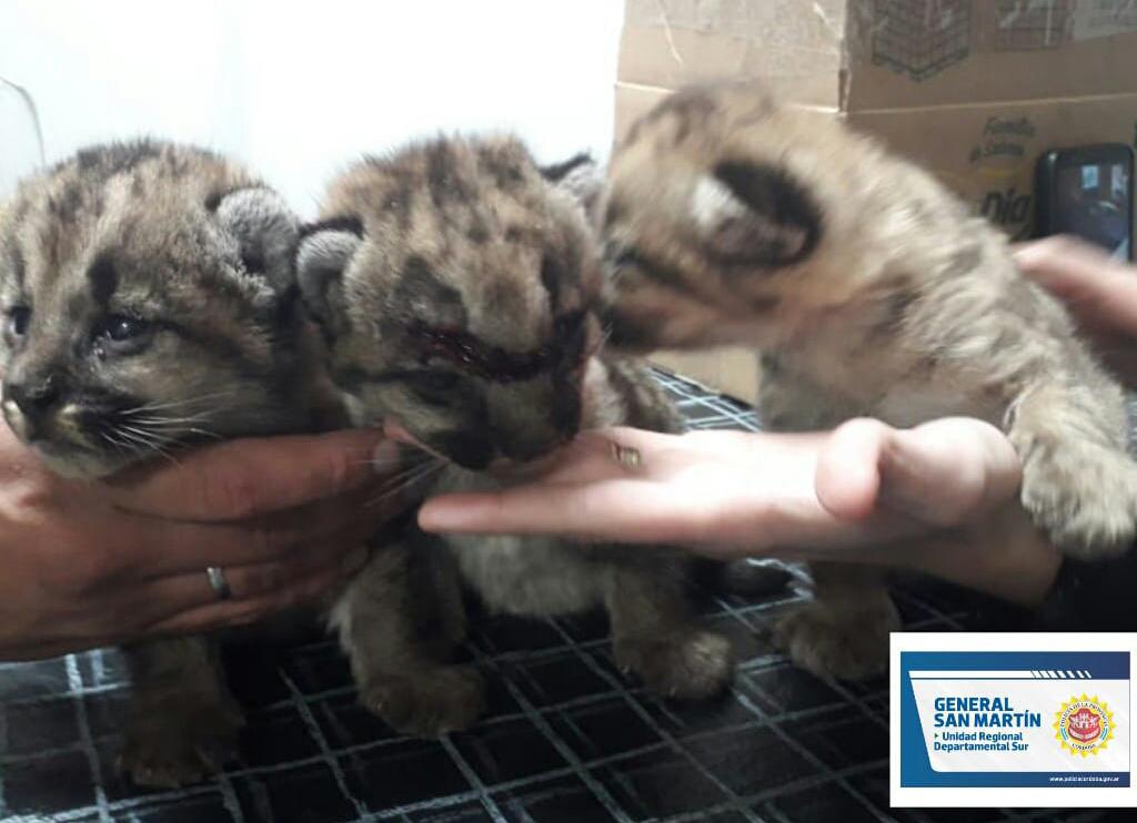 c438e6d8-891a-47ab-902a-29f0ec2be3b2