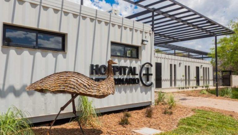 Hospital-de-animales-768x435
