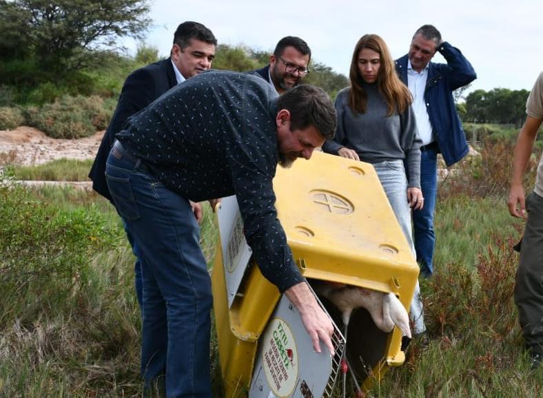 WhatsApp-Image-2024-05-10-at-11.46.28-1