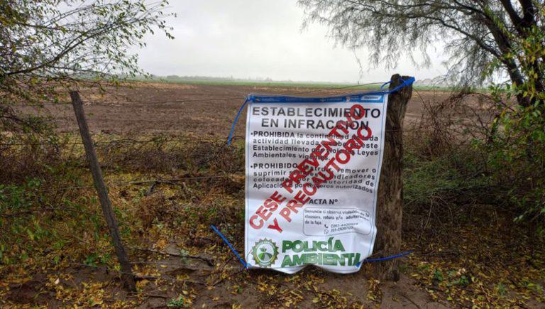 Policia-Ambiental-desmonte-ilegal-768x435