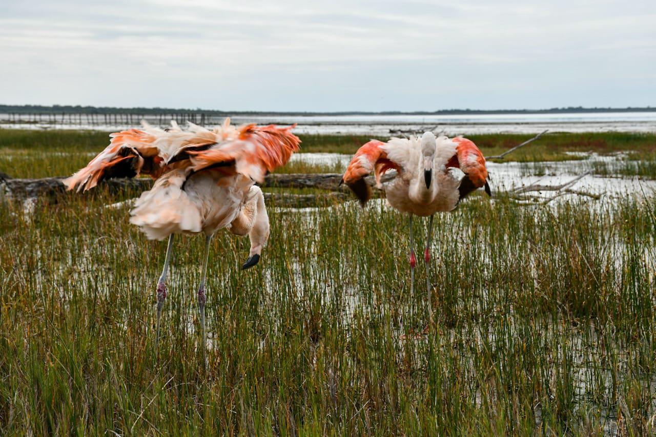 WhatsApp-Image-2024-05-10-at-11.46.28