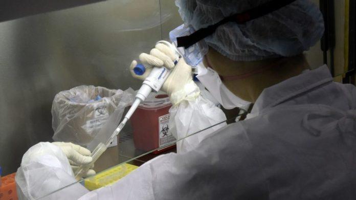 laboratorio-25-7-1209048-696x391