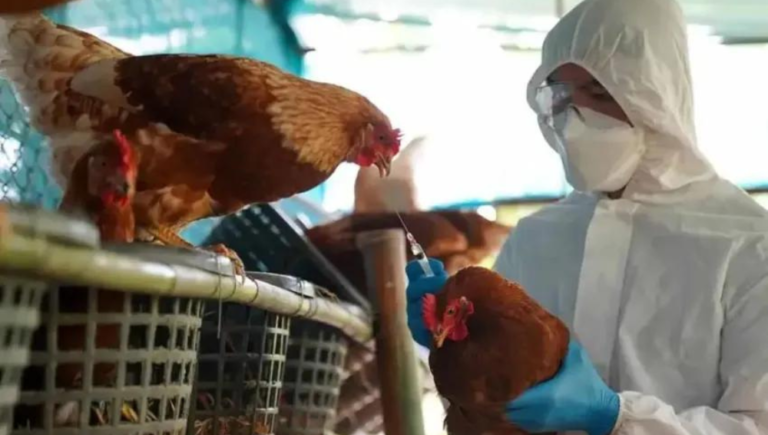 1000x566-59-2-768x435