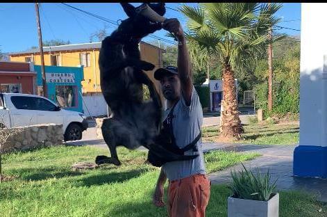 WhatsApp-Image-2024-06-18-at-19.27.08