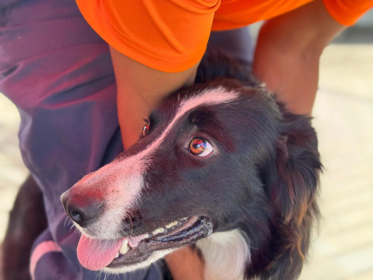 ad7001a1-0a0f-49ec-ac38-900917799b40