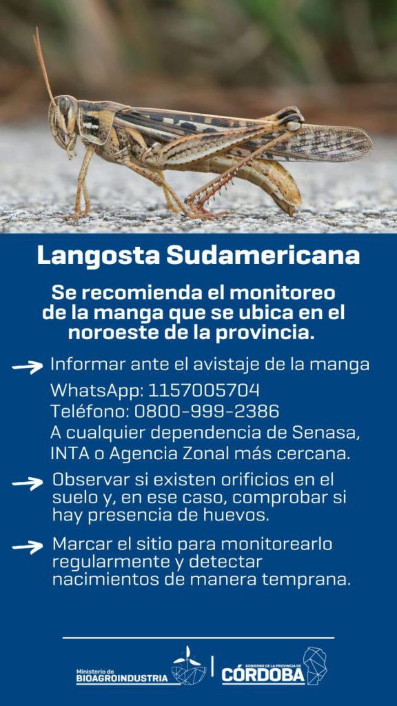 WhatsApp-Image-2024-07-31-at-14.25.09-576x1024