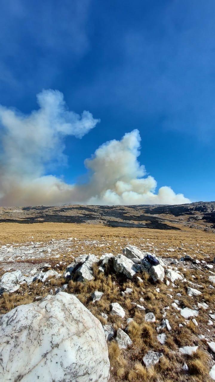 WhatsApp-Image-2024-07-15-at-20.26.42