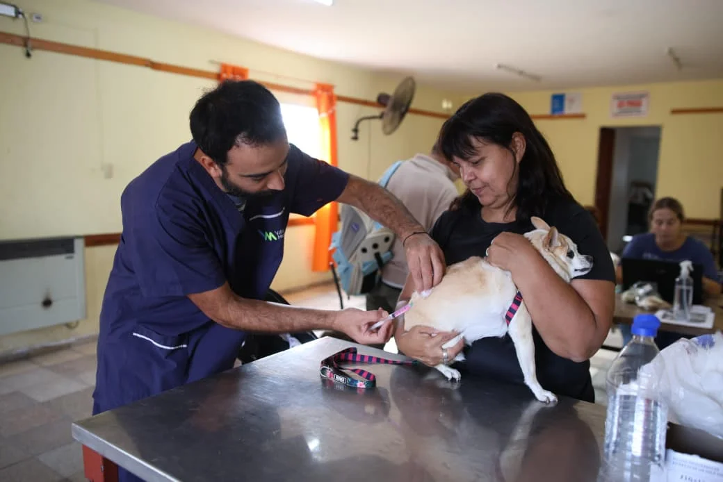 ff4dedf4-fde2-4e1e-af08-b70ee62b49db