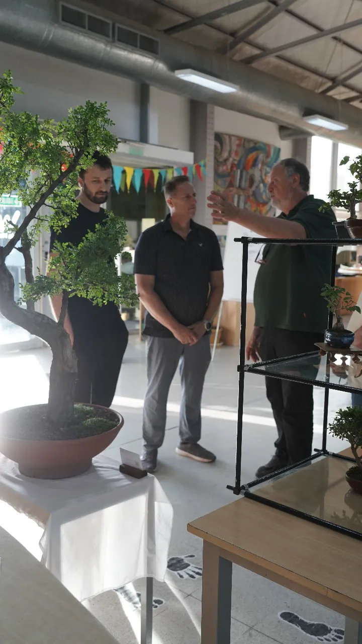 Imagen de WhatsApp 2024-11-03 a las 20.18.36_ff723846