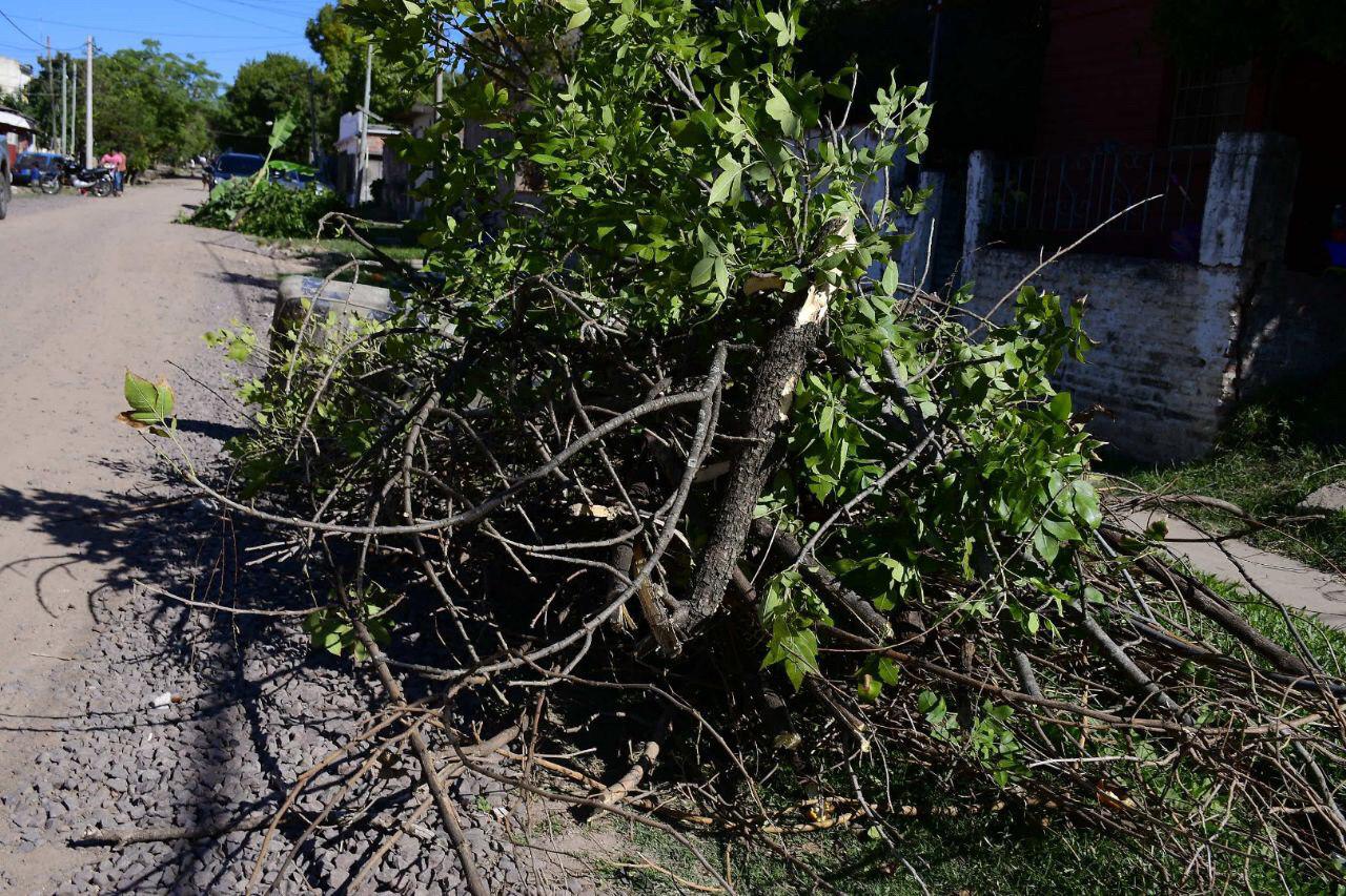 a30528fc-4865-4031-a891-b9dfd575651a