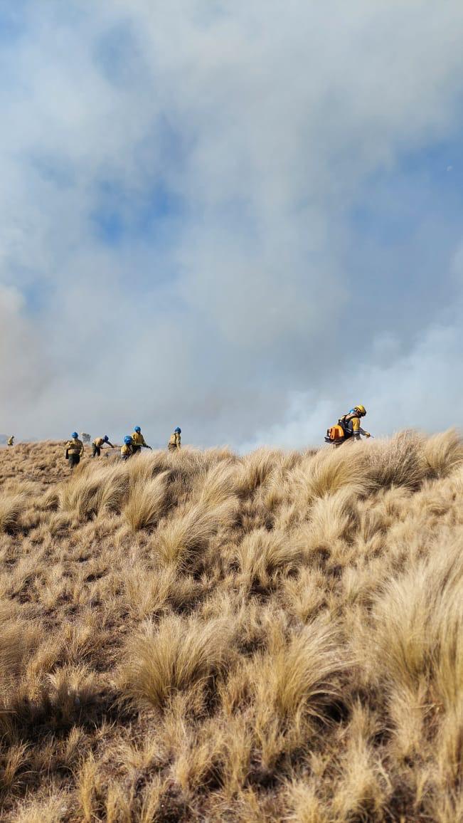 WhatsApp-Image-2024-07-15-at-20.26.41-1