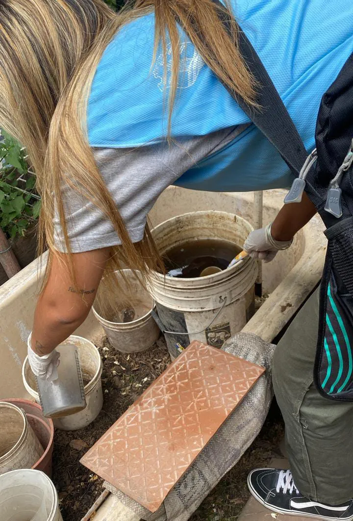 71885949-e343-4de2-b2f8-432206de6133