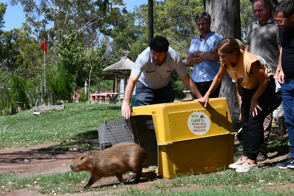 Se-liberaron-mas-de-20-ejemplares-silvestres-en-Marull-y-La-Para-19