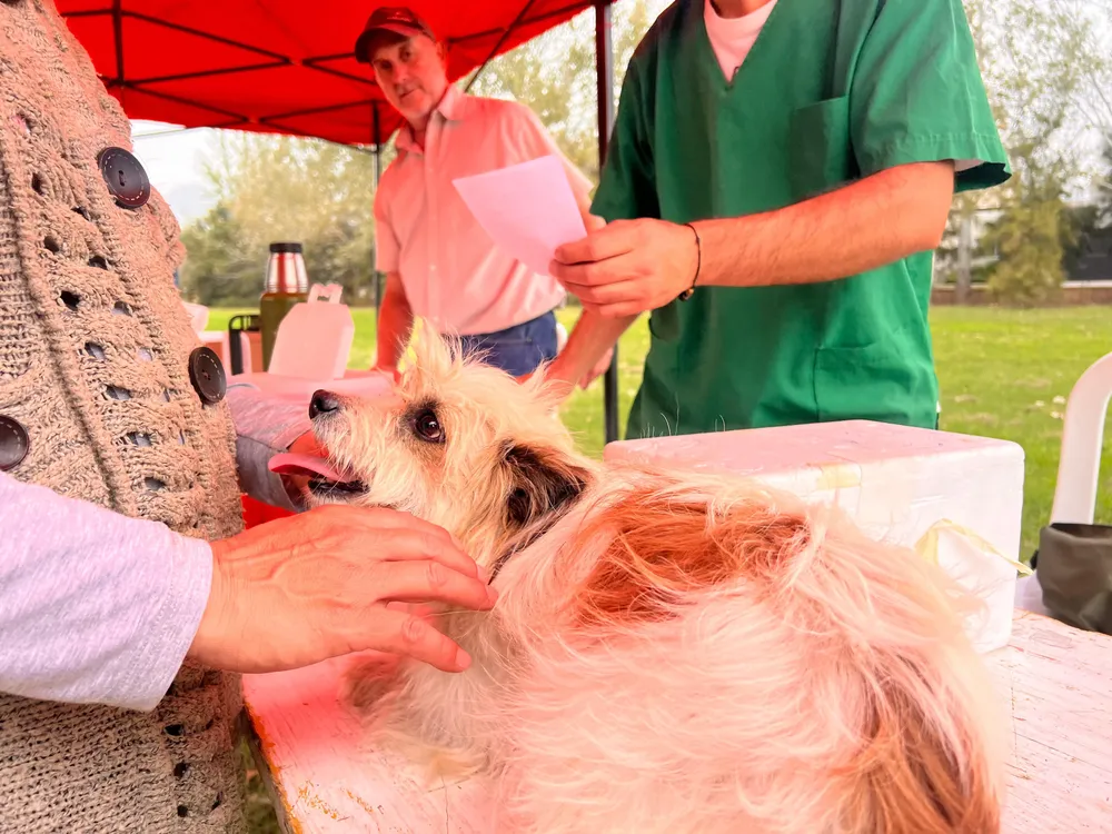 0de88e4e-2fbe-4995-a86c-d75c6f24cb85