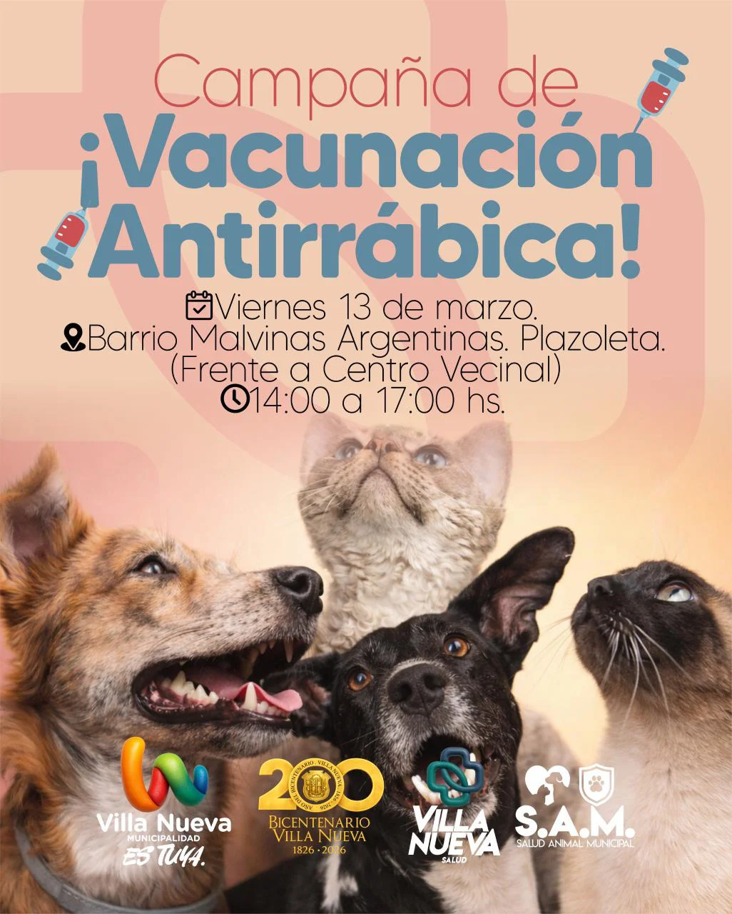 WhatsApp Image 2026-03-12 at 08.52.50