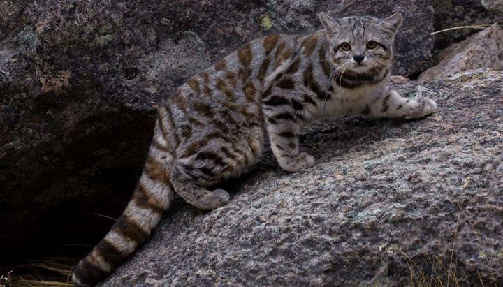 452342415_996737562457814_3139604612996392386_n (1)