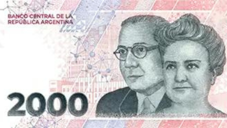 1000x566-2-9-768x435