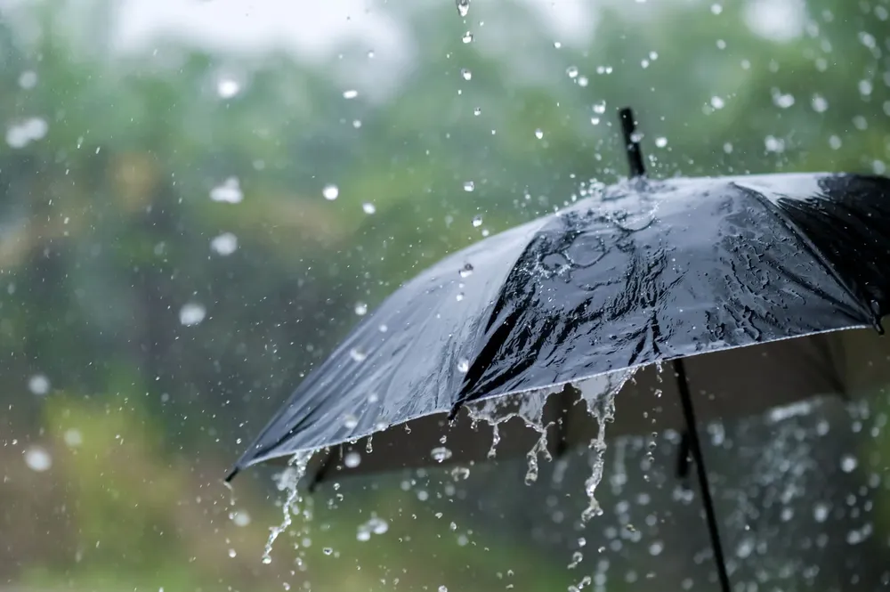 ¿Cómo-recoger-agua-de-lluvia