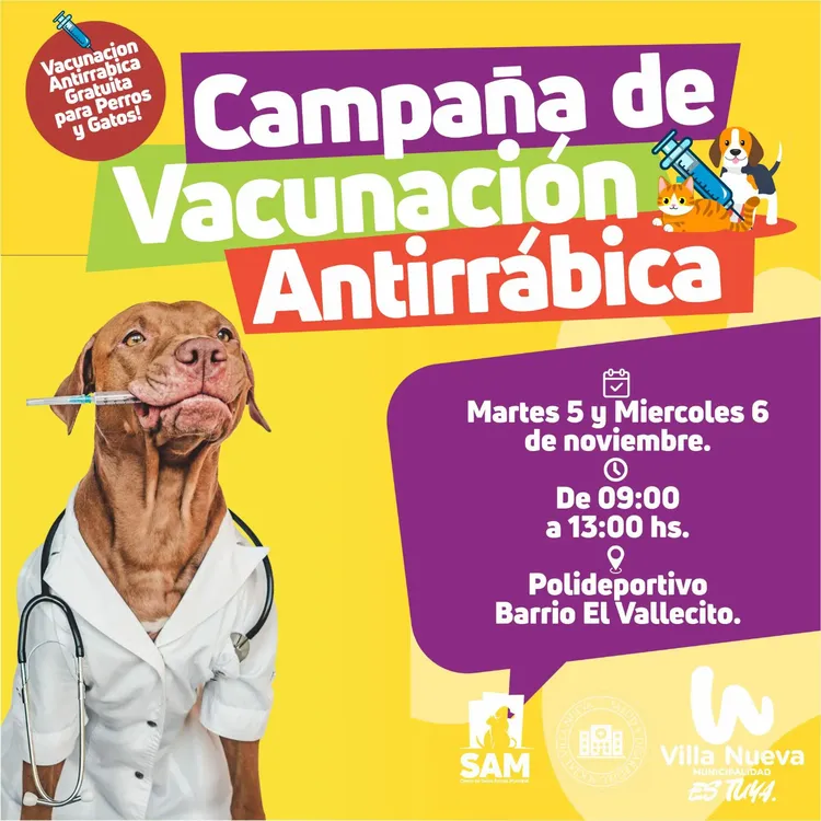 Imagen de WhatsApp 2024-11-01 a las 09.25.20_f1589ef6