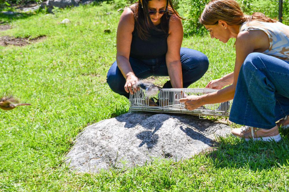 WhatsApp-Image-2024-01-03-at-17.06.02-1