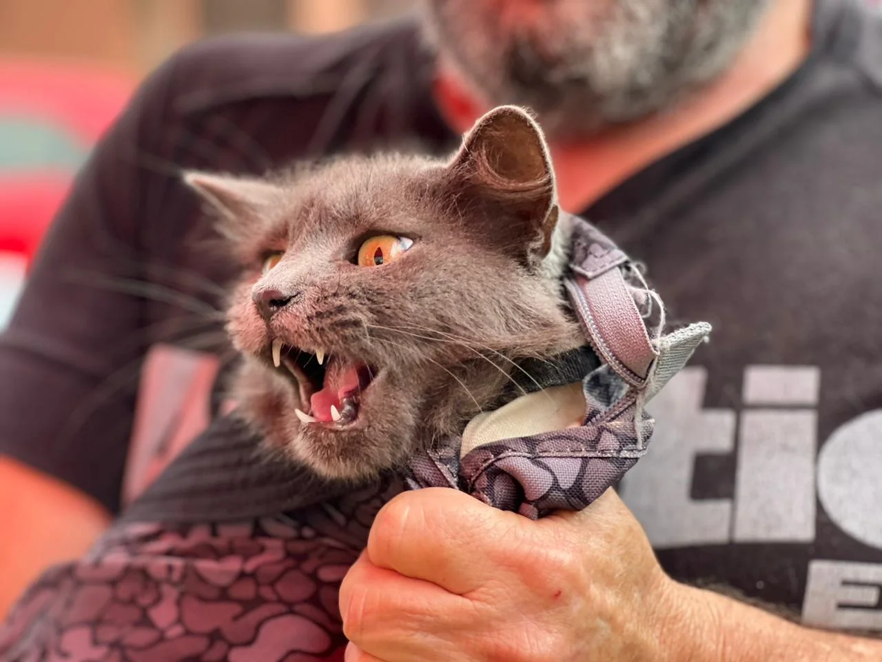 84919a96-a107-41d8-a7e0-3aadc1e3aaa1