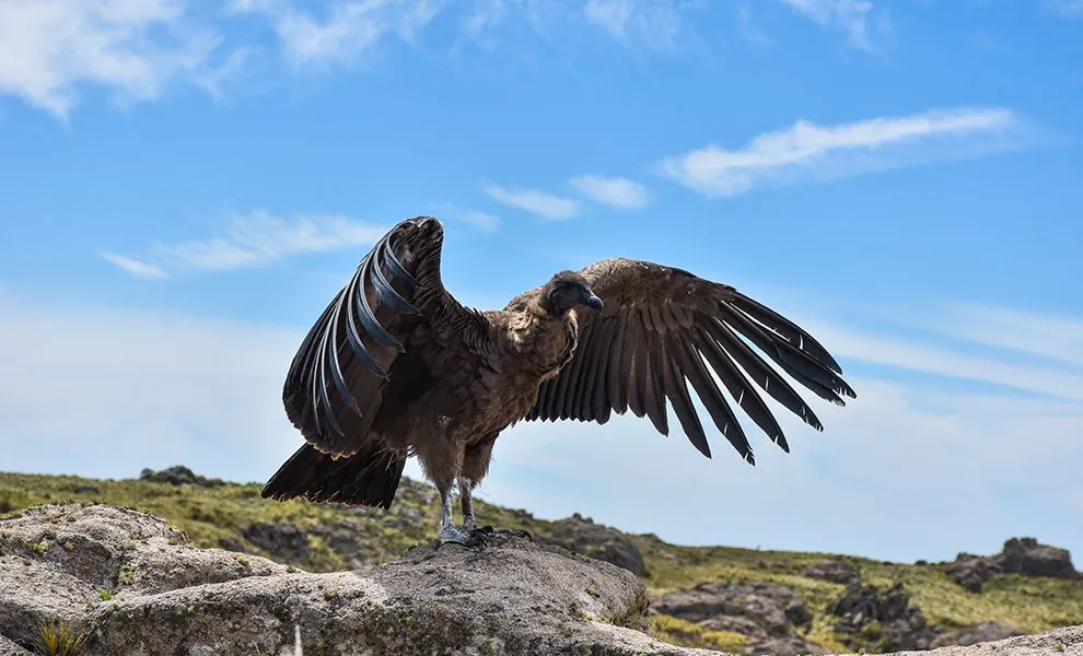 WhatsApp-Image-2024-11-14-at-09.59.44