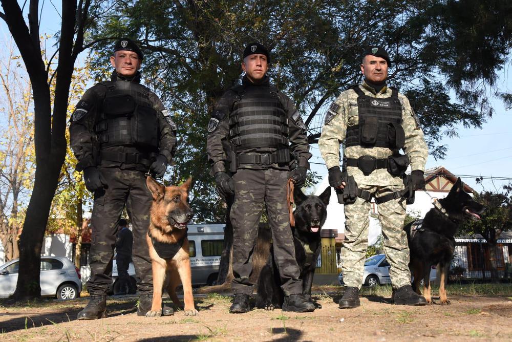 WhatsApp-Image-2024-06-17-at-09.51.05