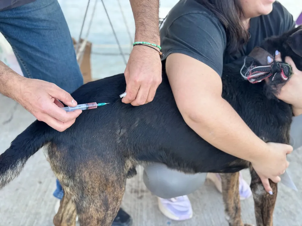 98081d15-4c2b-4ff3-9d7e-fdbfe29c0656