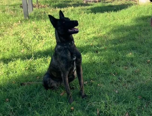 WhatsApp-Image-2024-06-18-at-19.27.07-1