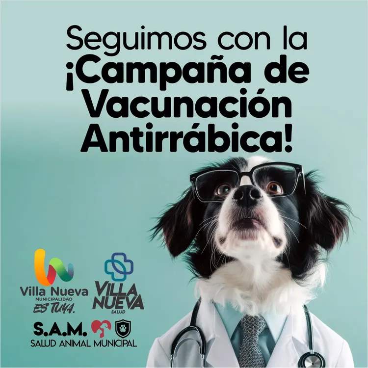 704df5db-4a33-4e31-8516-37eda194a024