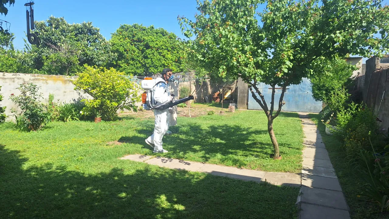 18a8fadf-dcea-47b0-9ed6-8b15470ea02e