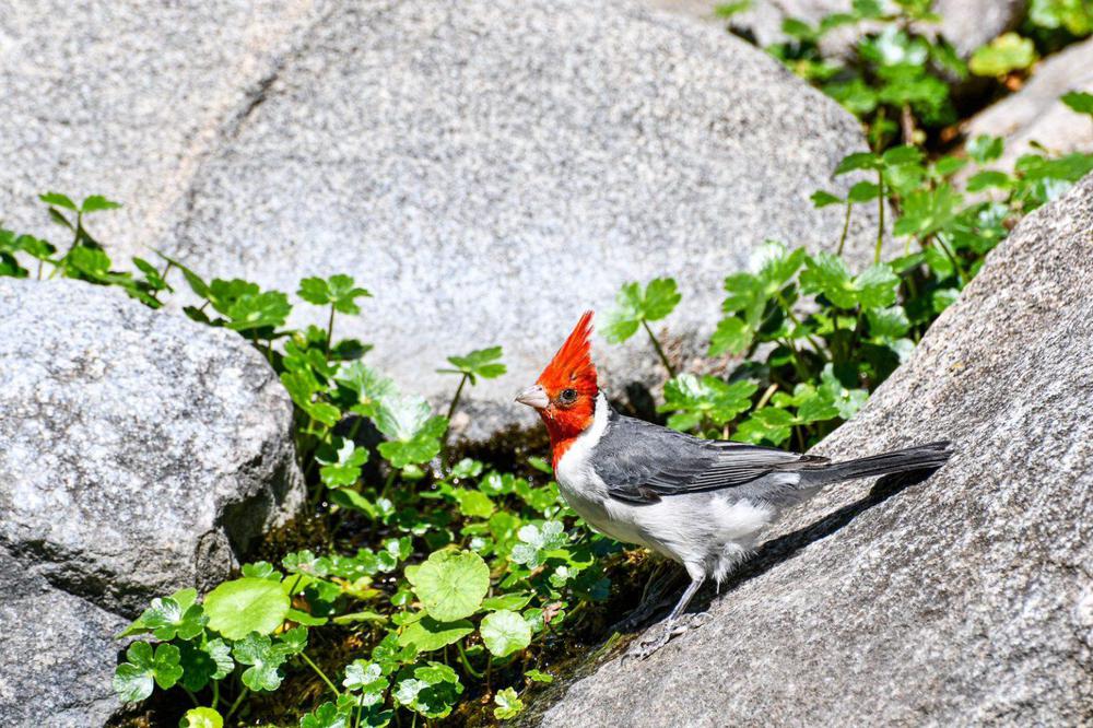 WhatsApp-Image-2024-01-03-at-17.06.02-2-1536x1023