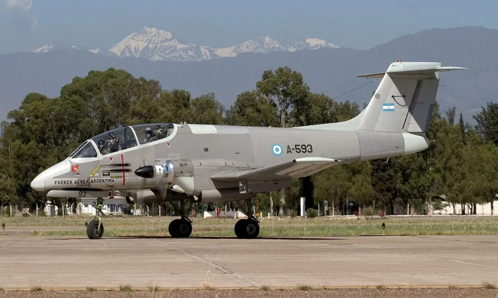 WhatsApp Image 2026-03-30 at 14.47.41